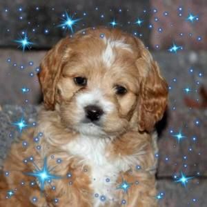 Meet your Posher, Ruth